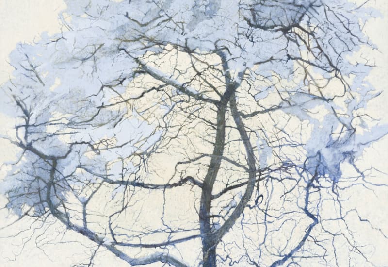 Victoria Crowe: Ice Moon Fire Land Pick of the Week