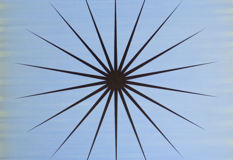 Private View: Carol Robertson - Pointstar