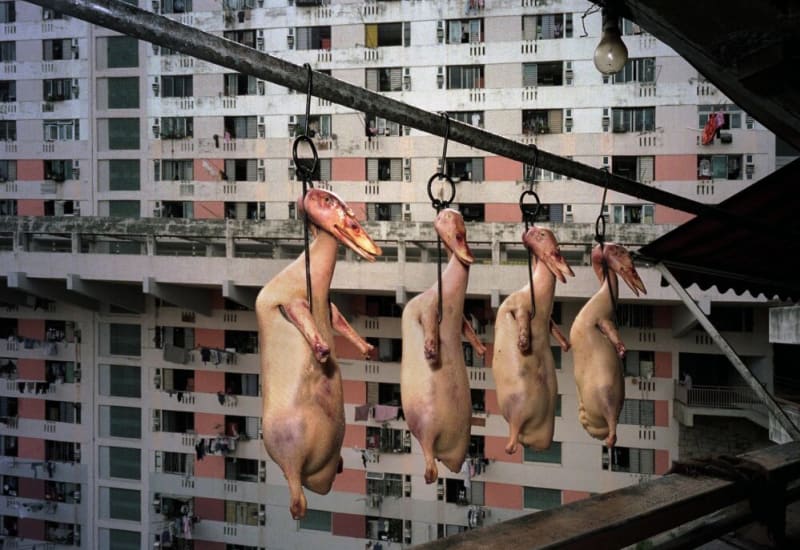 My Best Shot: Michael Wolf featured in The Guardian
