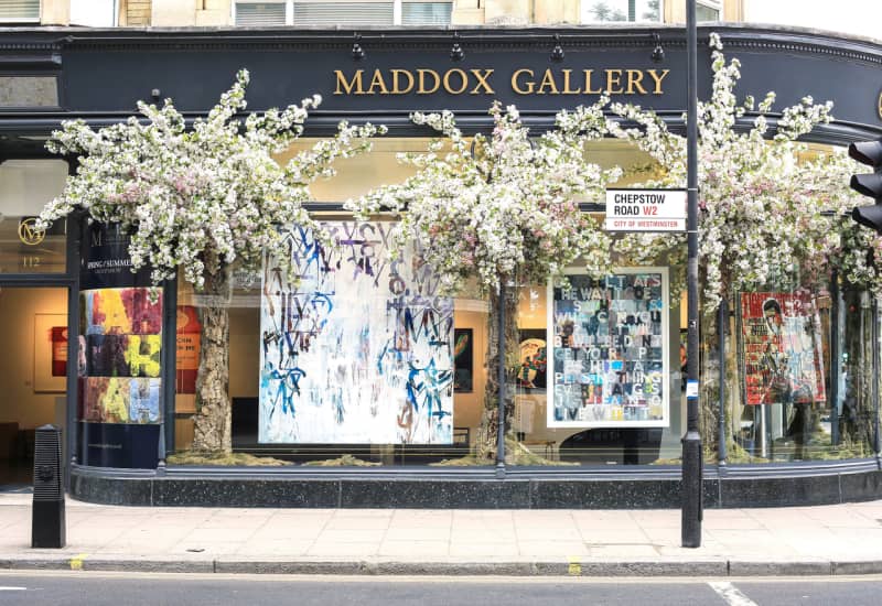 THE MADDOX STORY Maddox Gallery