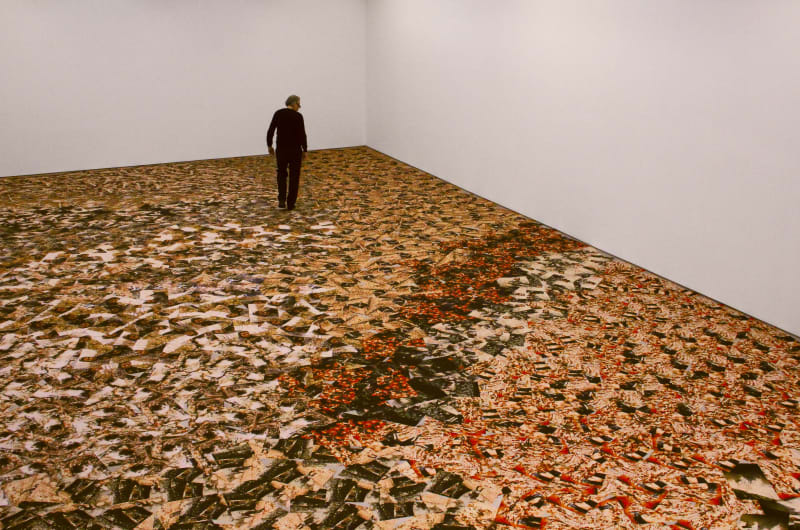 Dennis Adams, 2011. Galerie Moises de Albeniz. "Walking on Wolves", 2011