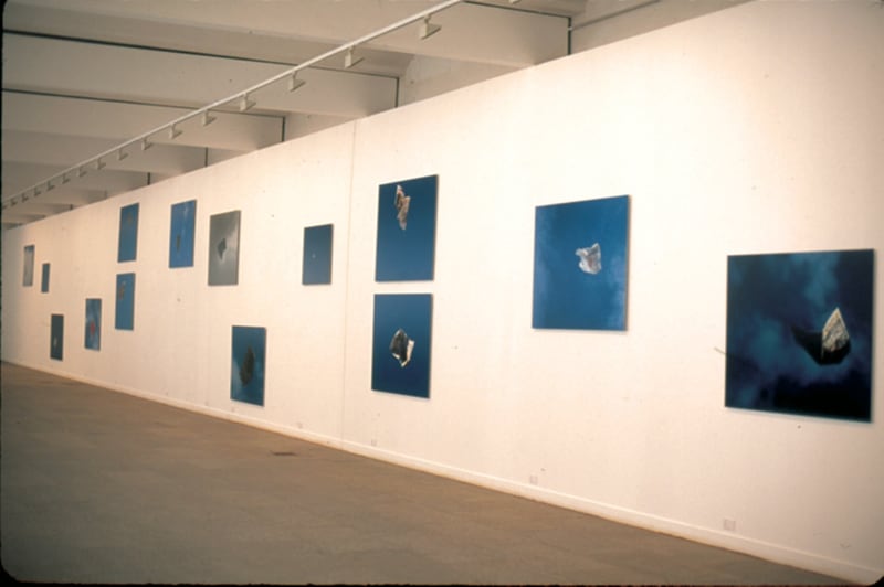Dennis Adams, 2004 PhotoEspaña, Pabellon Villanueva Madrid. "Airborne", 2002