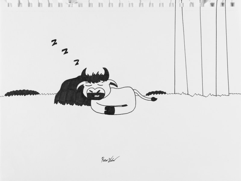 Rocco DiCaro, Untitled (Sleeping Ox) , n.d.