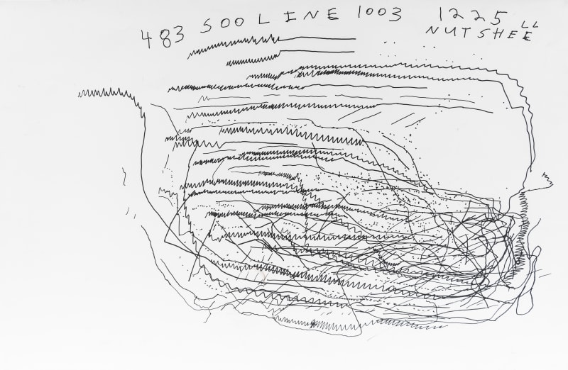 Ted Hamel, 483 500 Line, 2021