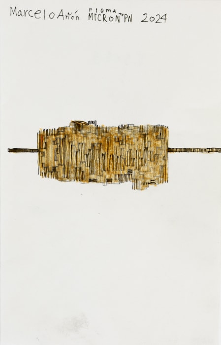 Marcelo Añón, Untitled (Pigma Micron PN), 2024