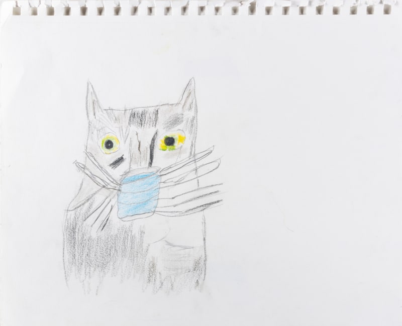 Carol Pyes, Cat with Mask, 2020