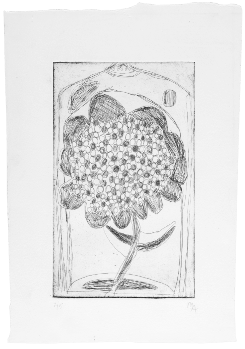 Marcelo Añón, Untitled (Flower), n.d.