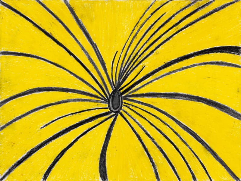 Alysha Kostelny, Spider on Blooming Flower, 2023