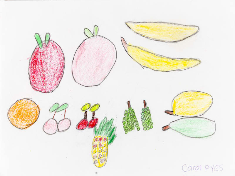 Carol Pyes, Fruits , 2023