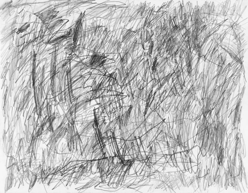 Sam Filicky, Graphite , 2024