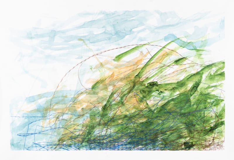 Laura Greenberg, Mangroves, 2023