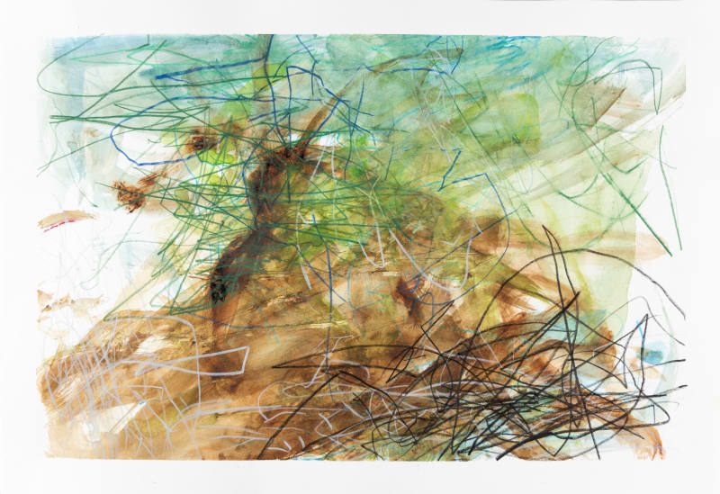 Laura Greenberg, Mangroves, 2023