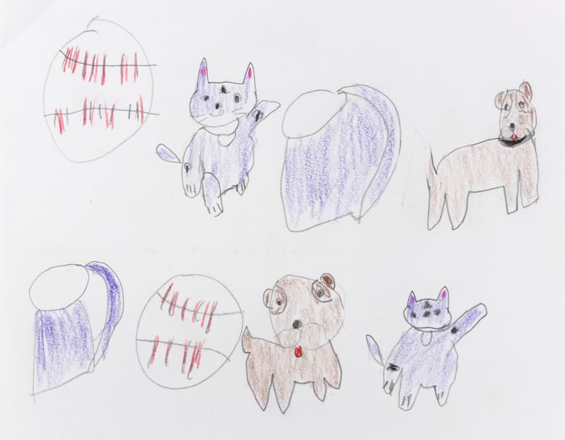 Carol Pyes, Balls, Dogs, Cups, Cats , 2020