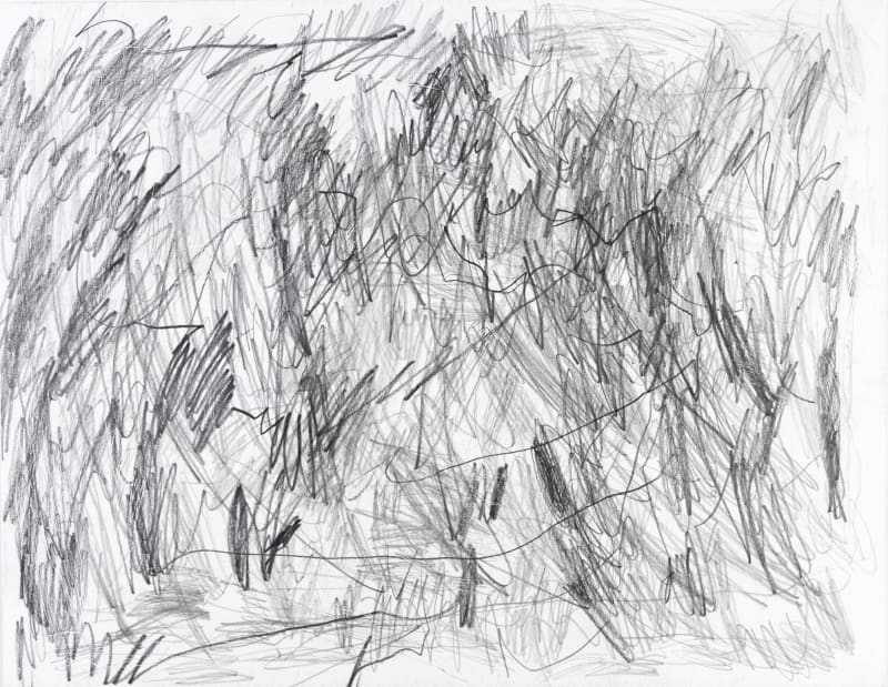 Sam Filicky, Graphite, 2024