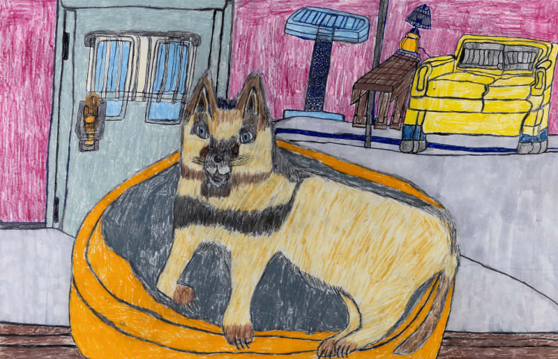 Andrew Sloan, (Rocket) (The) (Amazing) Cat, 2025