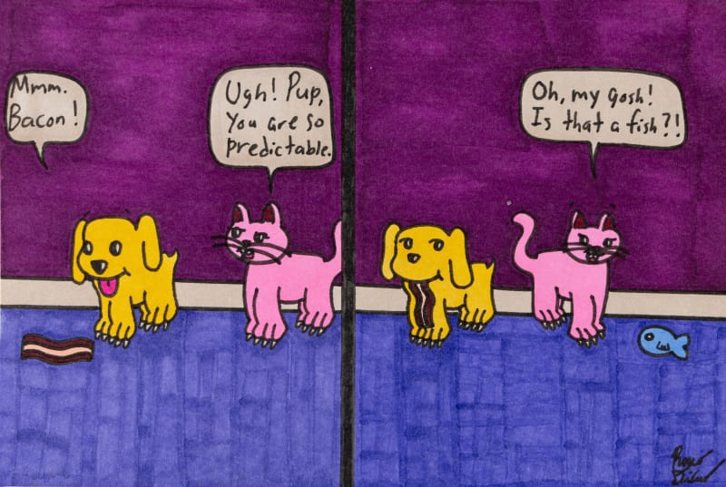 Rocco DiCaro, Hypocritical Cat, 2024