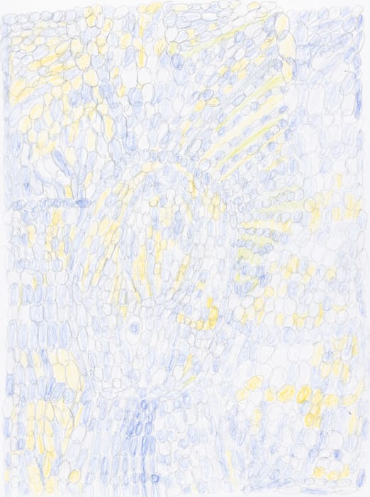 Lucy Walsh, Eliza, 2025