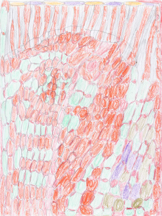 Lucy Walsh, Claire, 2025