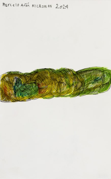 Marcelo Añón, Untitled (Mircon PN), 2024