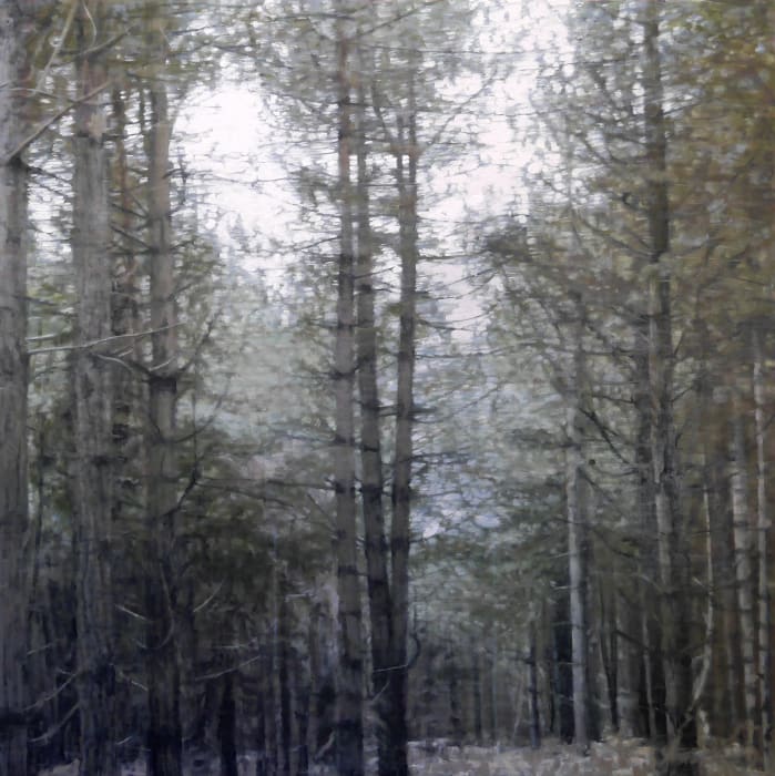 Kate Sherman, Forest 1, 2018