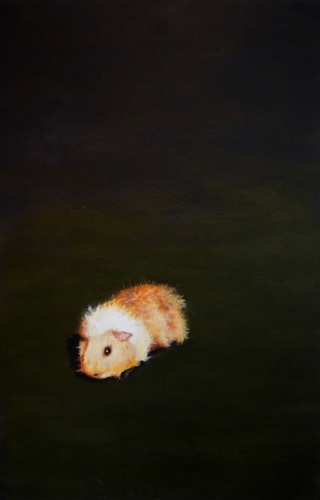 Tony Beaver, Guinea Pig , 2020