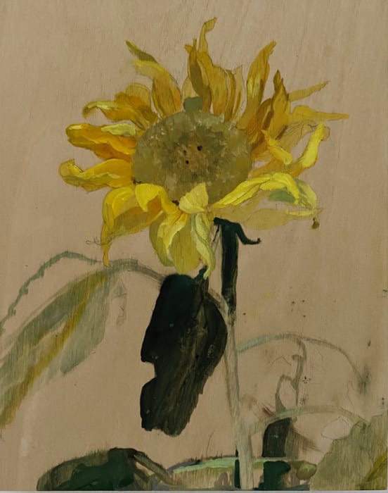 Helen Ballardie, Sunflower, 2021