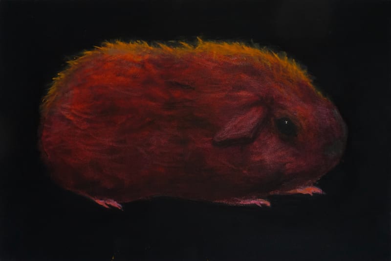 Tony Beaver, Guinea Pig 3, 2024