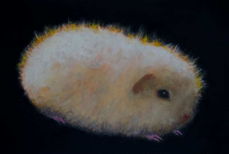 Tony Beaver, Guinea Pig 2, 2024