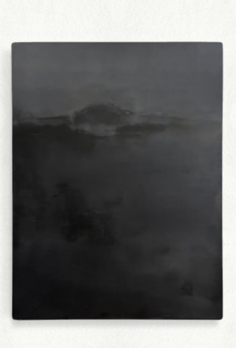 Penelope Deltour, Echo 003, 2024