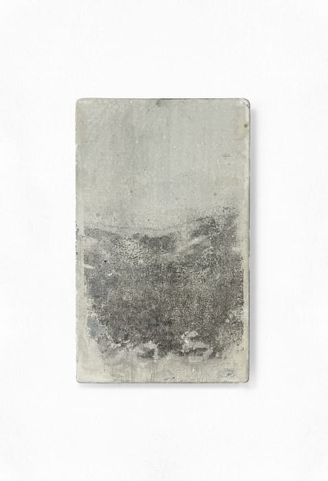 Penelope Deltour, Echo 088, 2025