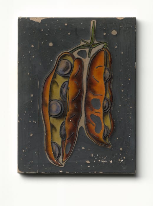 Ewoud Viane, Velvet Bean, 2024