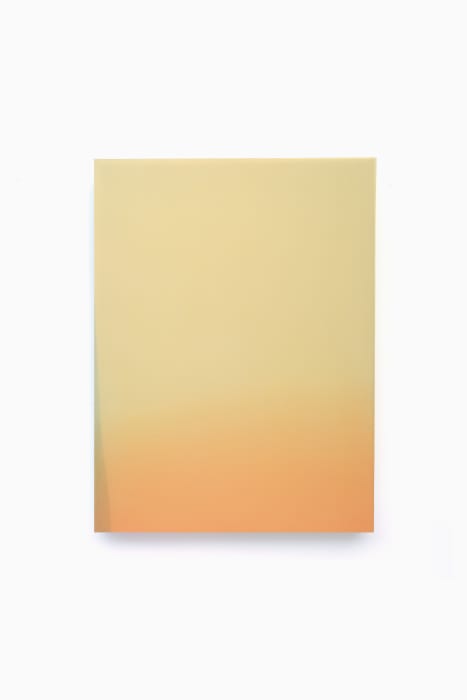 Camille Truyffaut, Aquatinte sur organza et soie teintée montée sur verre, 2025