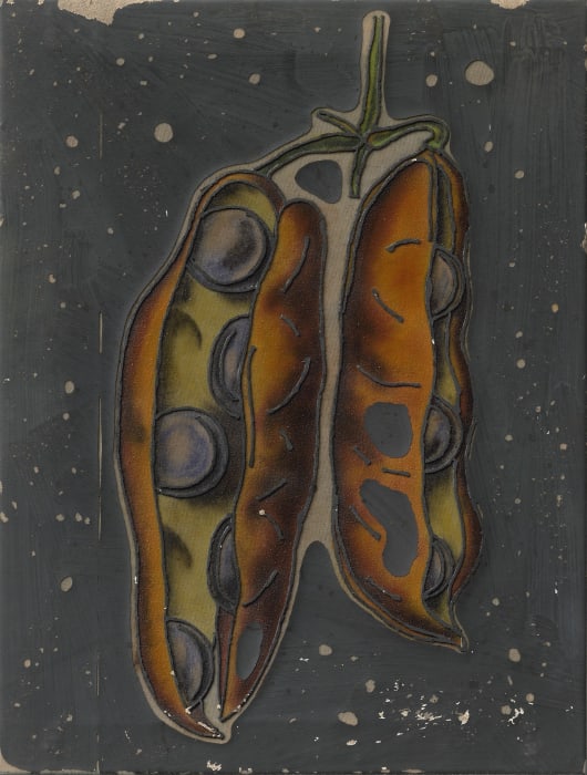 Ewoud Viane, Velvet Bean, 2024