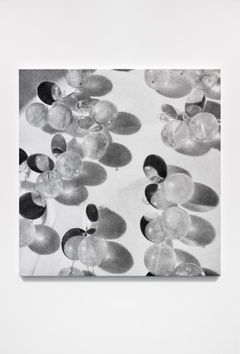 ZHANG Yunyao 张云垚, Circles 圈, 2022