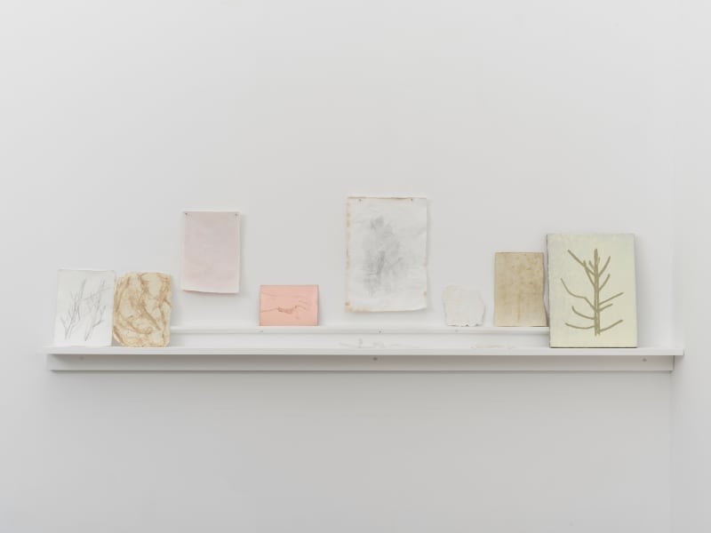 ZHANG Peiyun 章佩芸, In The Garden 在园中, 2020