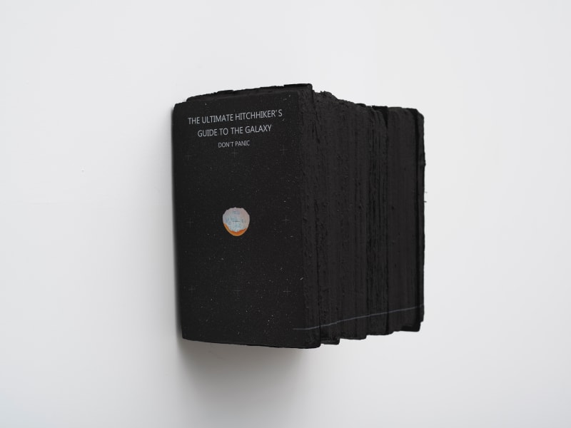 LIU Ren 刘任, Hi there, See You in a Billion Years 你好, 10亿年后再见, 2018