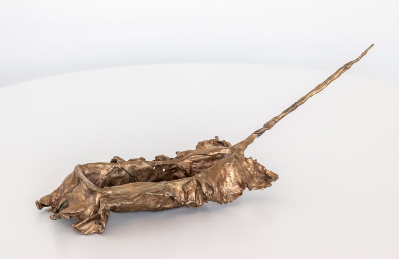 Celeste Roberge, Seaweed Boat