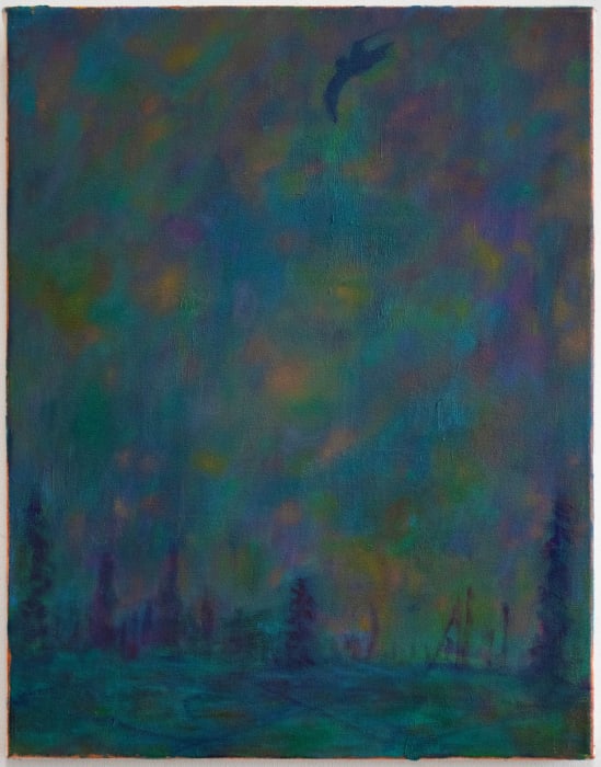 Nick Benfey, Storm Petrel