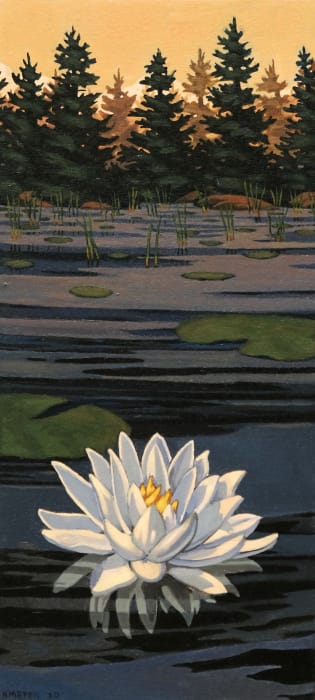 Nathaniel Meyer, Floating Lily II