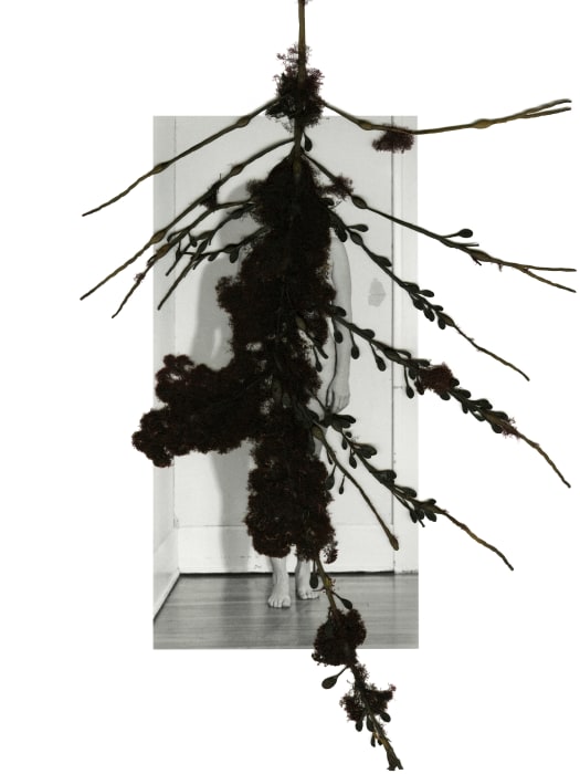 Celeste Roberge, 8 Days a Week: The Eighth Day , 2018