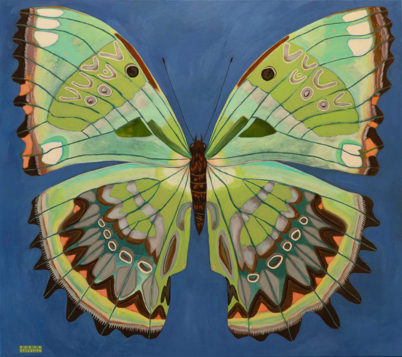 Sarah Steedman, Dune Oak Butterfly, 2024