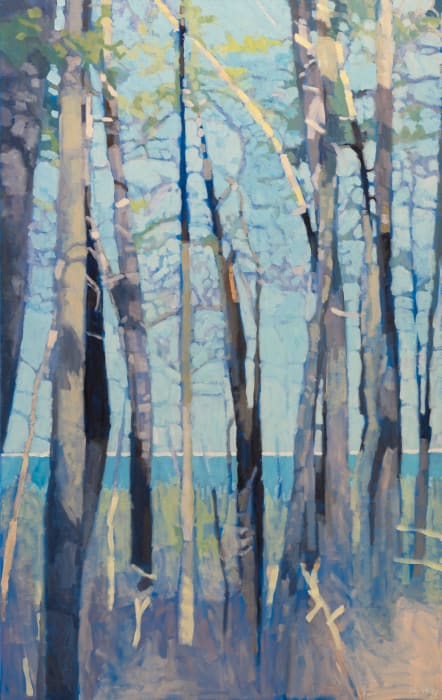 Liz Hoag, Public View