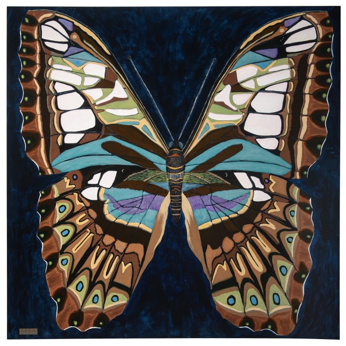 Sarah Steedman, Orion's Belt Butterfly, 2024