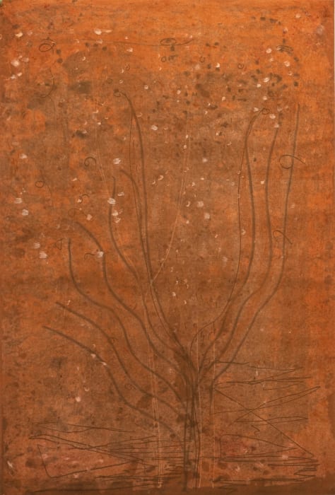 Anne Neely, Print Series #1