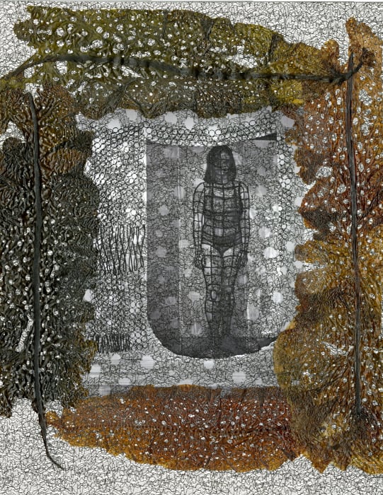 Celeste Roberge, Illuminations, 2019