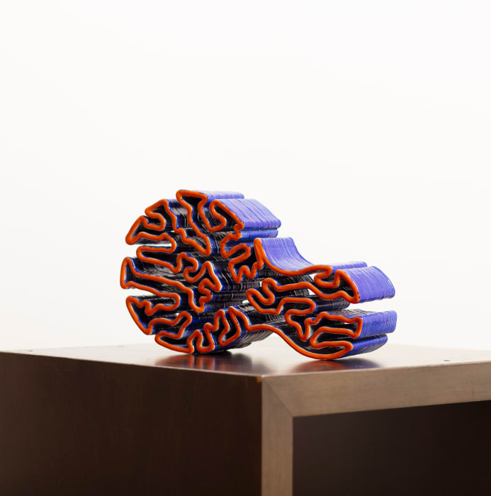 MIGUEL CHEVALIER, Brain Corals Stratigraphy 5, 2024