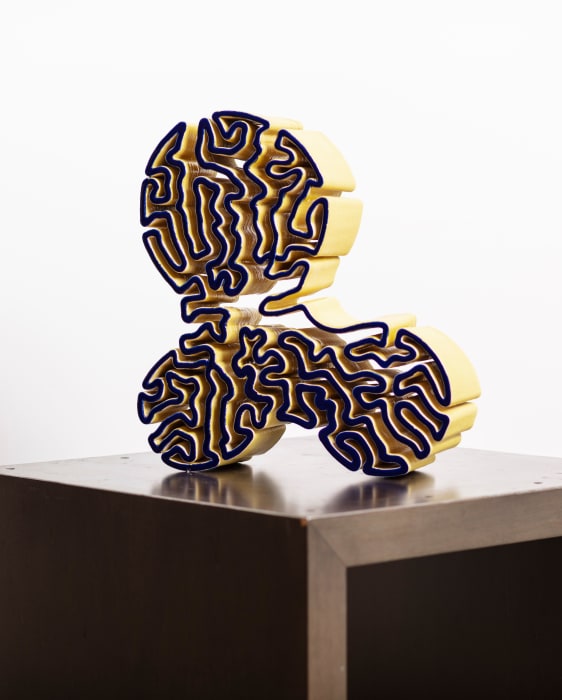 MIGUEL CHEVALIER, Brain Corals Stratigraphy 7, 2024