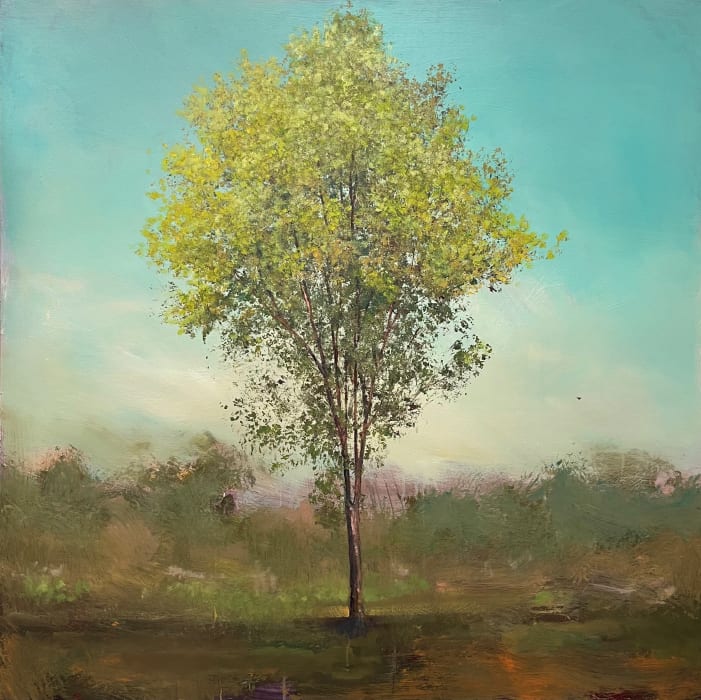 Peter Hoffer, Northern Elm, 2025