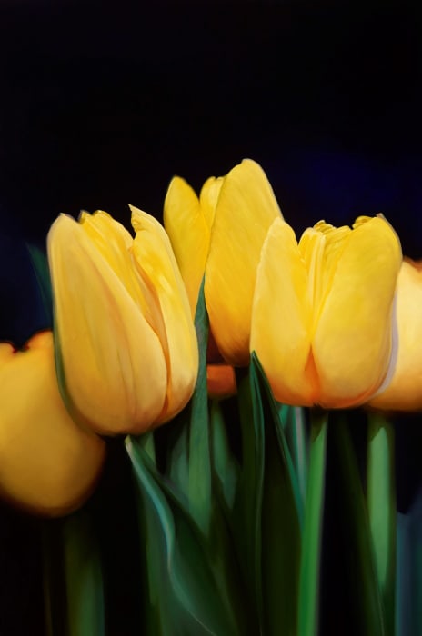 James Lahey, 5 Tulips, 2021