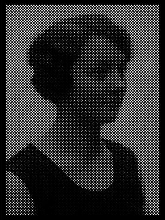 Anne-Karin Furunes, Portrait of Pictures / IX, 2013